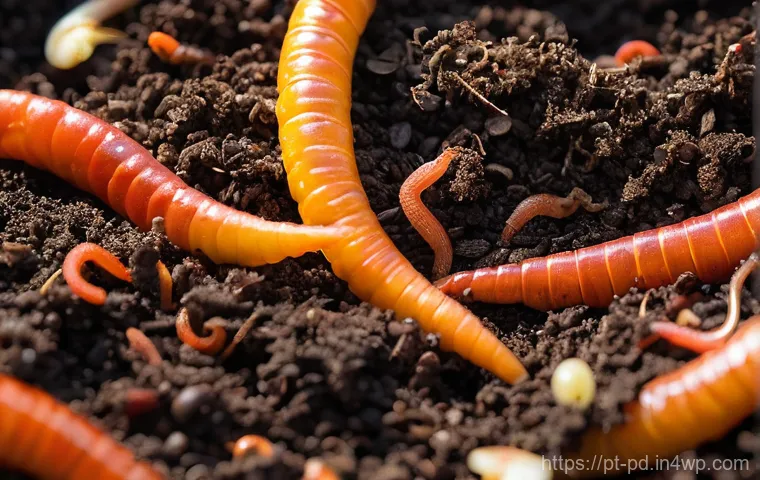 버미컴포스팅과 지역 사회의 상관관계 - A close-up, detailed shot of a healthy vermicompost bin, showing active red wiggler worms (Eisenia f...