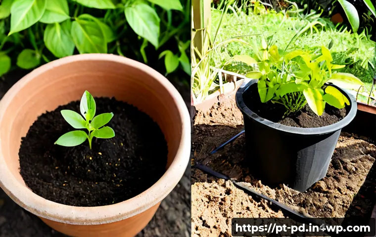 Home 15 버미컴포스팅과 일반 퇴비의 차이 - Photorealistic side-by-side garden comparison in a sunny Brazilian backyard: two identical terracott...